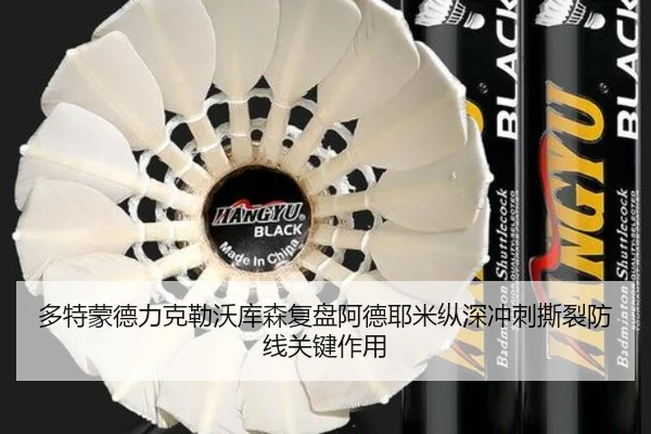 duo-te-meng-de-li-ke-lei-wo-ku-sen-fu-pan-a-de-ye-mi-zong-shen-chong-ci-si-lie-fang-xian-guan-jian-zuo-yong-2-543.jpg