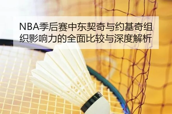 NBA季后赛中东契奇与约基奇组织影响力的全面比较与深度解析